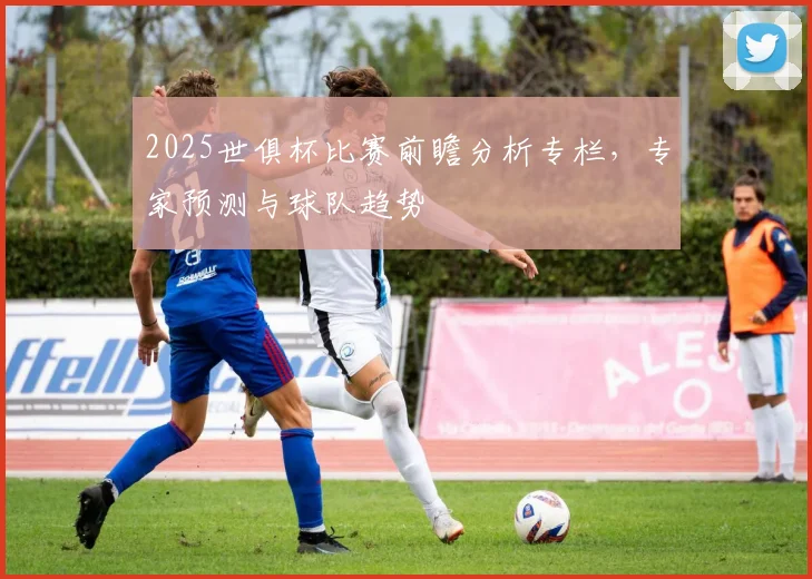 2025世俱杯比赛前瞻分析专栏，专家预测与球队趋势