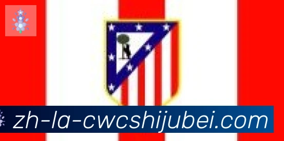 世界杯买球合作伙伴
