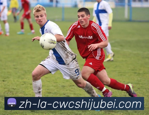 数据防护可视化